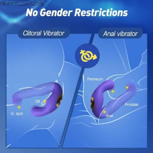 Tracy's Dog Prostate Massager Anal Vibrator